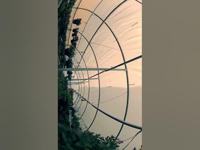 Video thumbnail for ACE Hardware GreenHouse fly through #drone #viralshorts  #viralreels