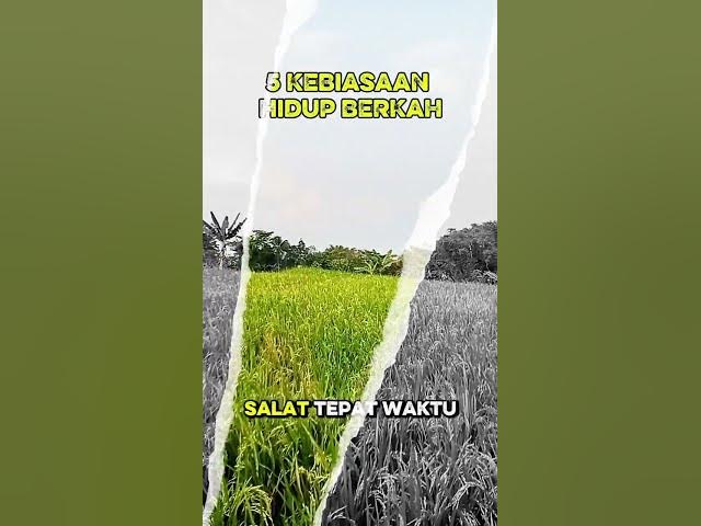 Video thumbnail for 5 Kebiasaan hidup berkah#lenterahati #shortsmotivasi #motivasiislami2026