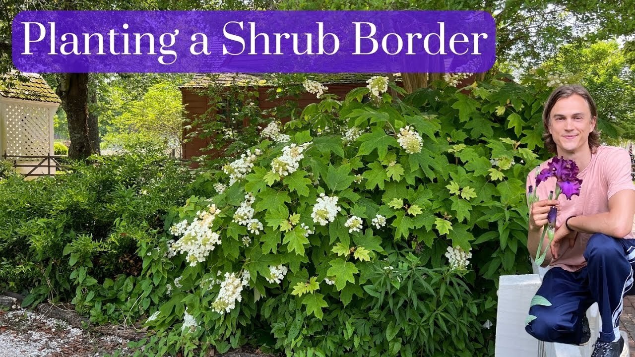 Video thumbnail for SHRUB BORDER - How to Plan & Install in Your Garden - Complete Tutorial - Perennial Plants