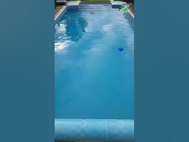 'Video thumbnail for Robot piscine Wybot C1 💦 Nettoyage du fond du bassin en motif S pendant 40 minutes'