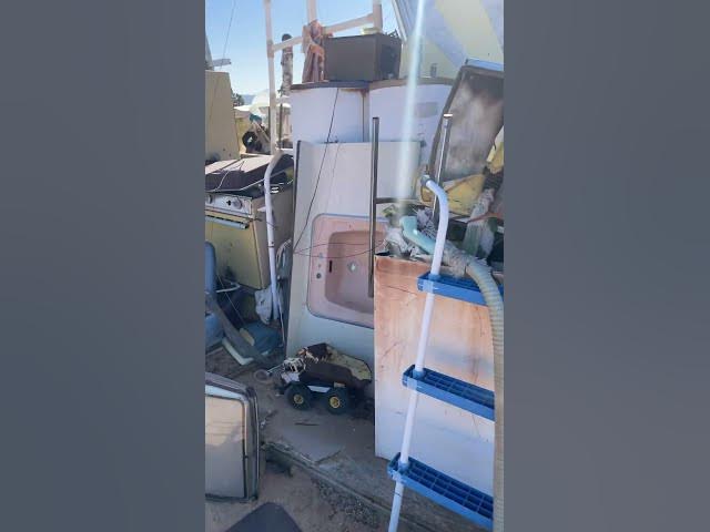 Video thumbnail for Missing Joshua Tree