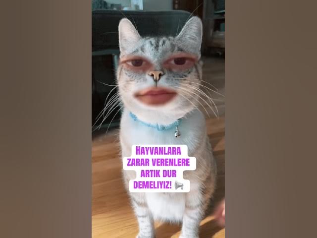 Video thumbnail for Tiktok hesabım aaliyahfenty dünya üzerinde tek canlı insan değil