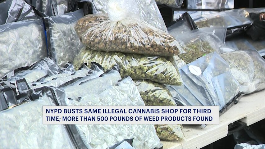 Video thumbnail for Third times a crime: Illegal Mott Haven cannabis shop raided again