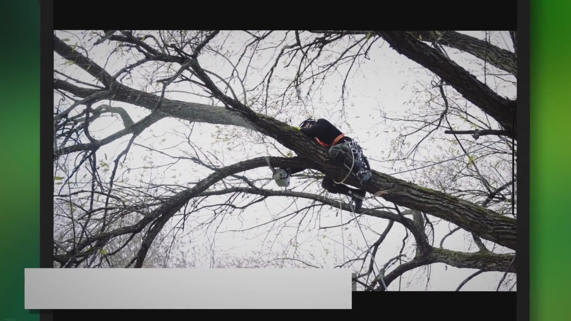 Video thumbnail for 5 Essential Chainsaw Facts Every Lumberjack Should Know