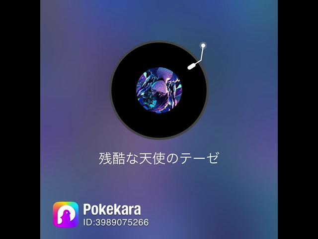 Video thumbnail for 2025年11月26日