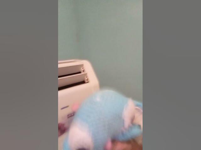 Video thumbnail for #steakwad