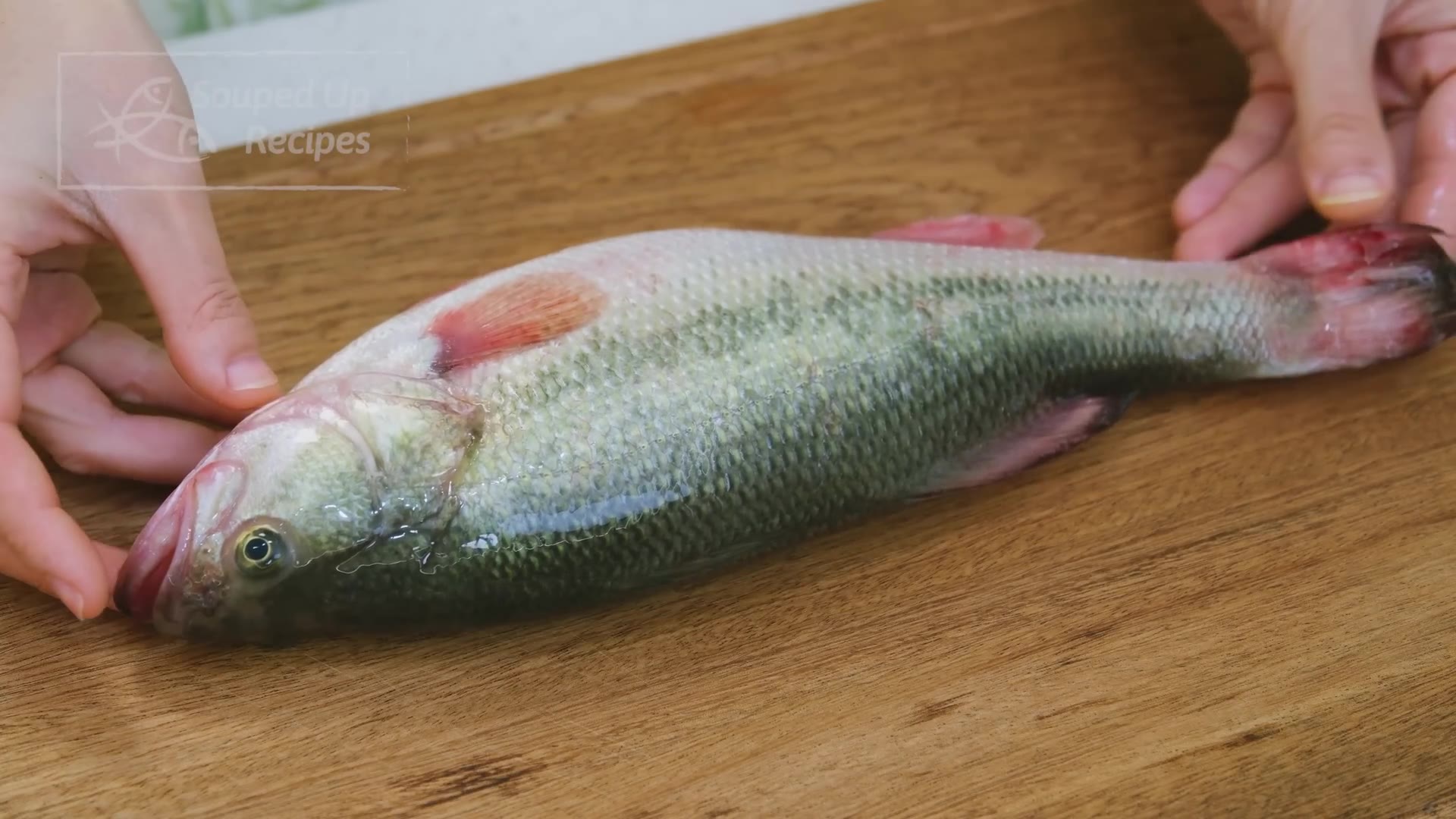 Video thumbnail for 256.The Perfect Cantonese Steamed Fish Recipe (1080p 60fps)