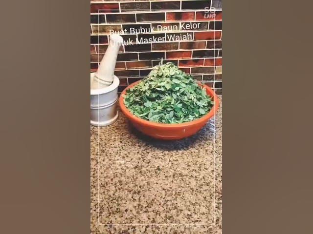 Video thumbnail for Manfaat daun kelor untuk masker wajah#shorts#maskerwajahdaunkelor