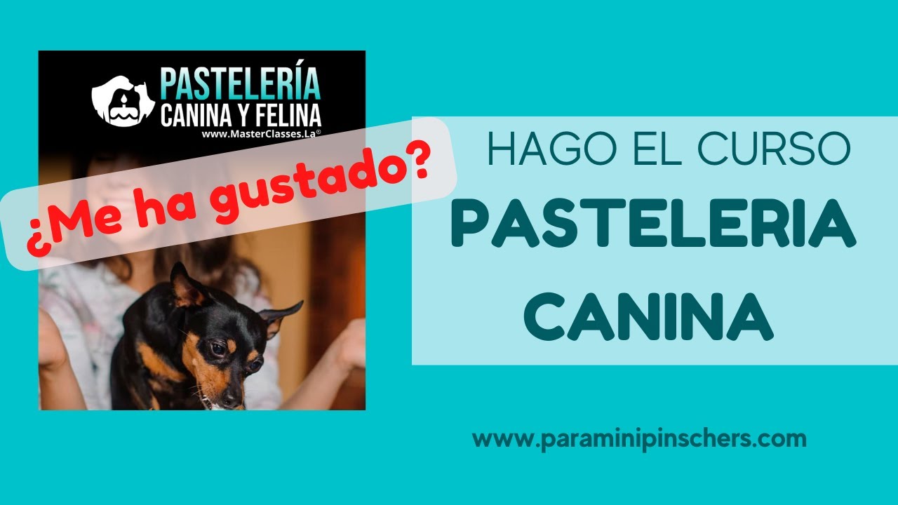 Video thumbnail for Curso de pastelería canina: mi experiencia y opiniones 🐕