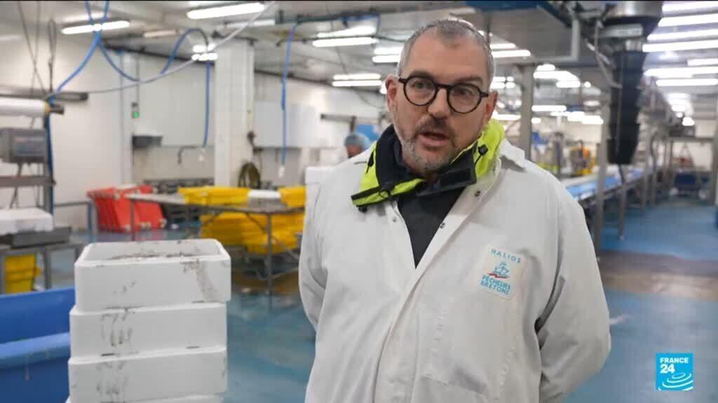 Video thumbnail for Five years after the UK left EU market, the impact on French fishermen