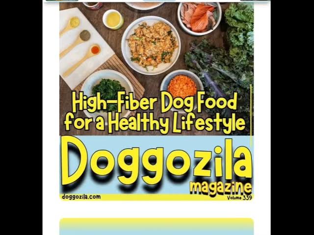 'Video thumbnail for High-Fiber Dog Food Recipes for a Healthy Lifestyle by Doggozila Magazine'
