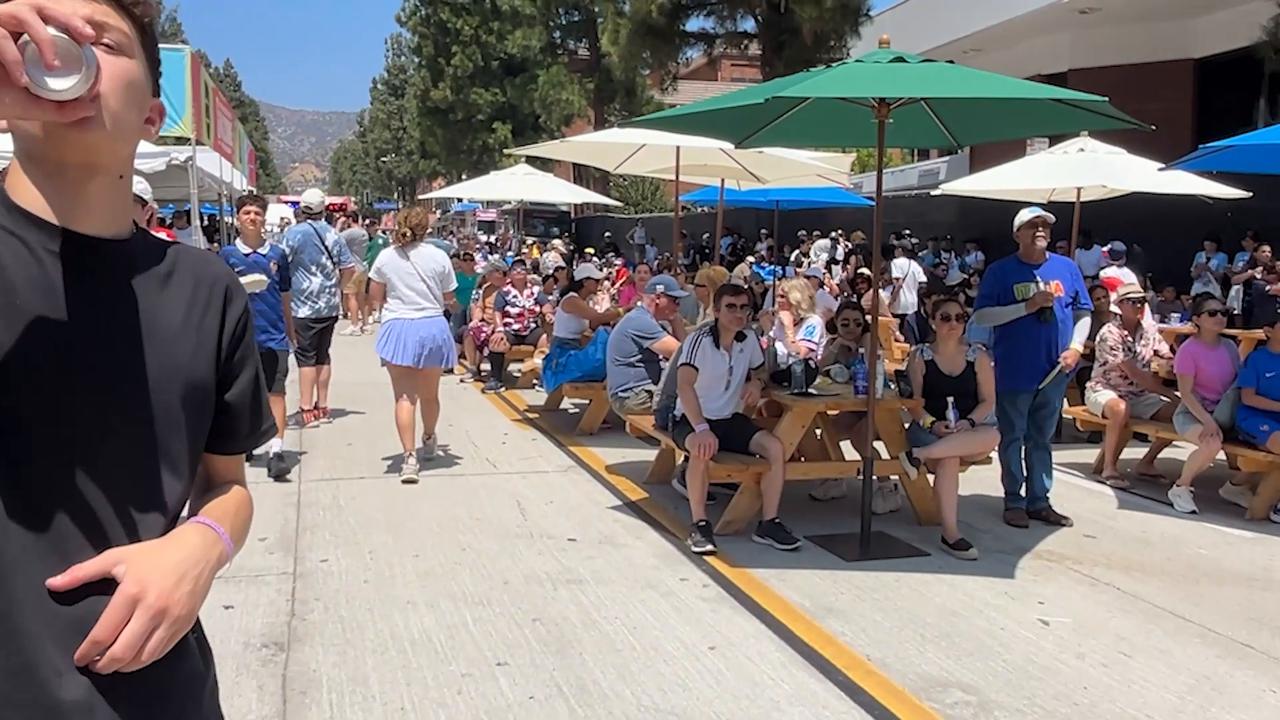 Video thumbnail for US: Fans follow England-France third-place match in California fan zone.