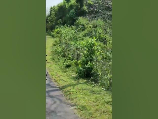 Video thumbnail for Bike Ride Khagrachhari, বাইক রাইড খাগড়াছড়ি #bikeride #khagrachhari #foryou