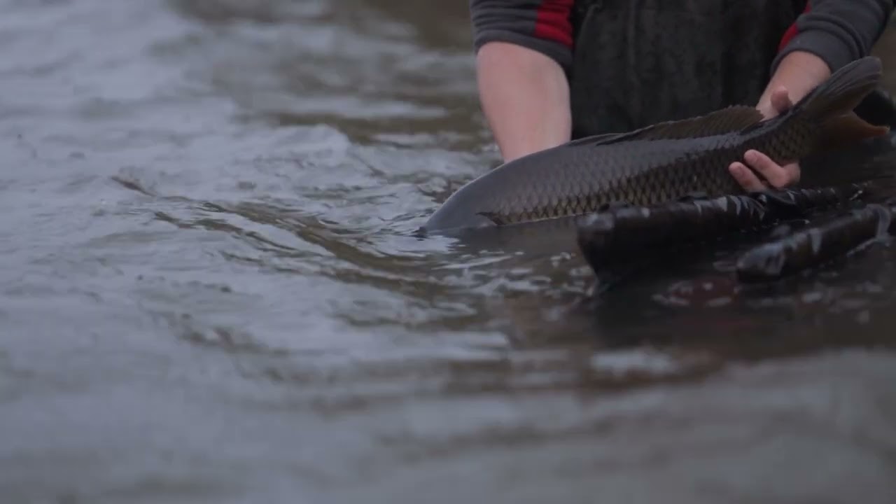 Video thumbnail for 5538262 hd 1920 1080 25fps