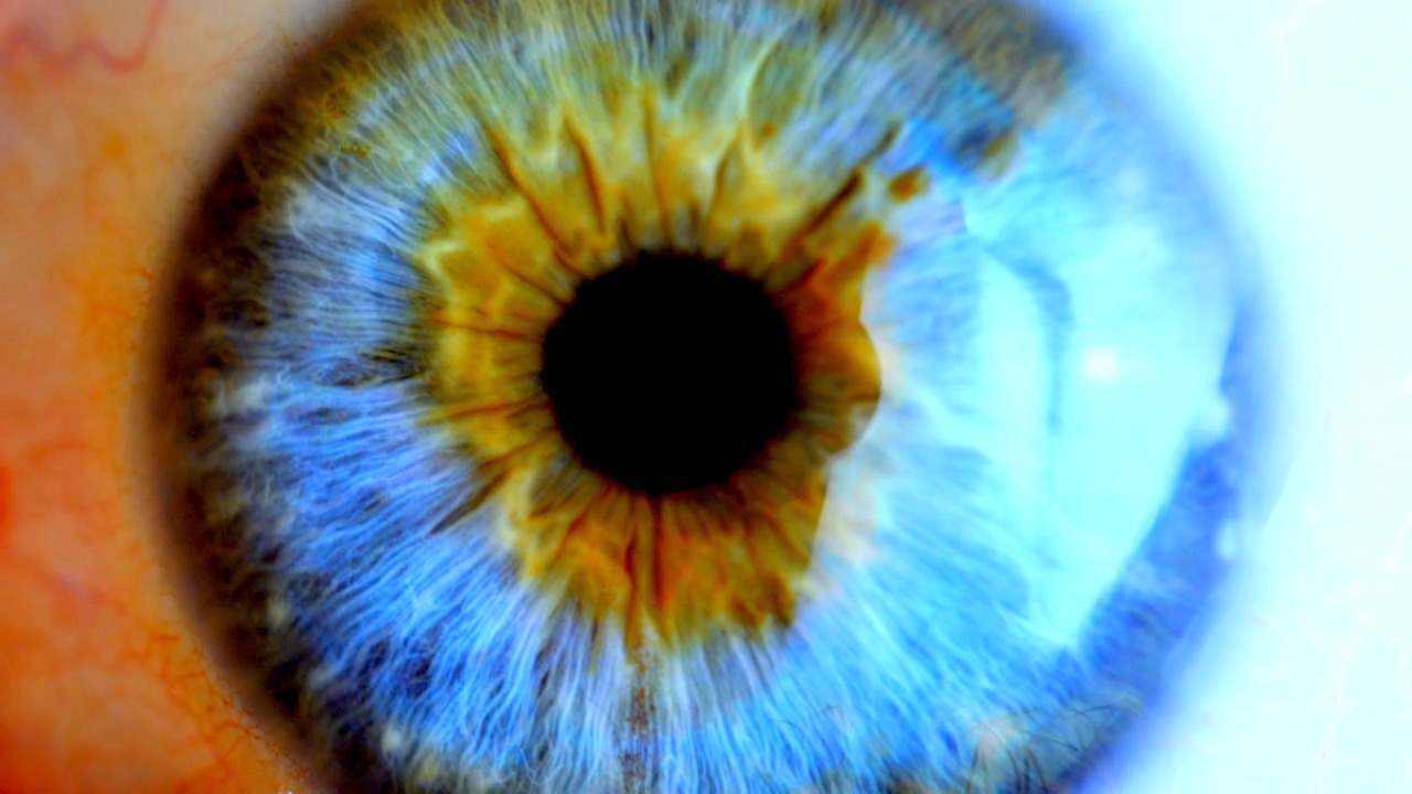 Video thumbnail for Reality vs. Hollywood: The Real Story of Hallucinations