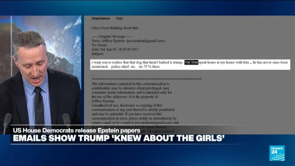 'Video thumbnail for White House calls Epstein emails release a Democratic smear'