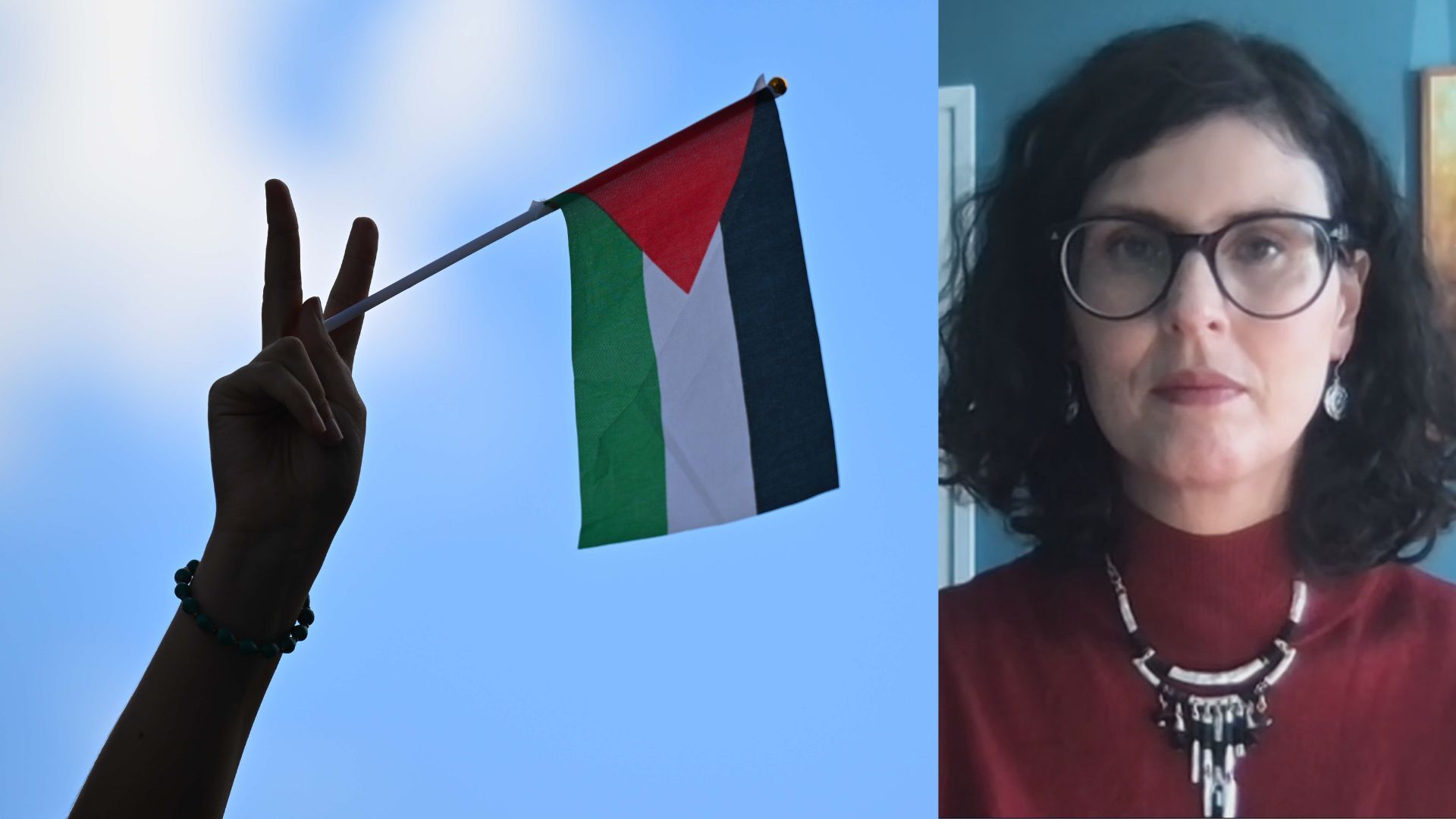 Video thumbnail for UK must act beyond words to deliver real change for Palestinians: Liberal Democrat MP