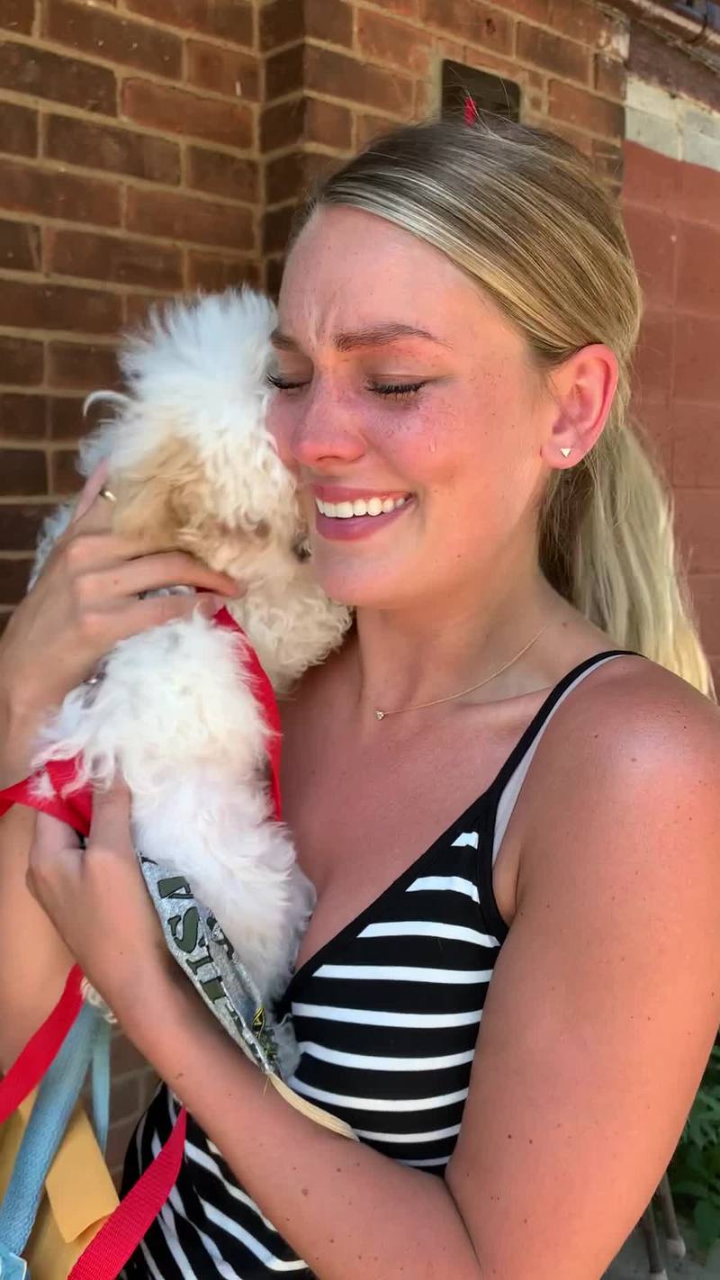 Video thumbnail for Emotional First Meeting with a Tiny Rescue Puppy