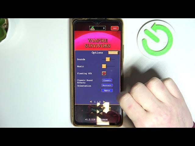 Video thumbnail for Vampire Survivors How To Enable & Disable Flashing VFX