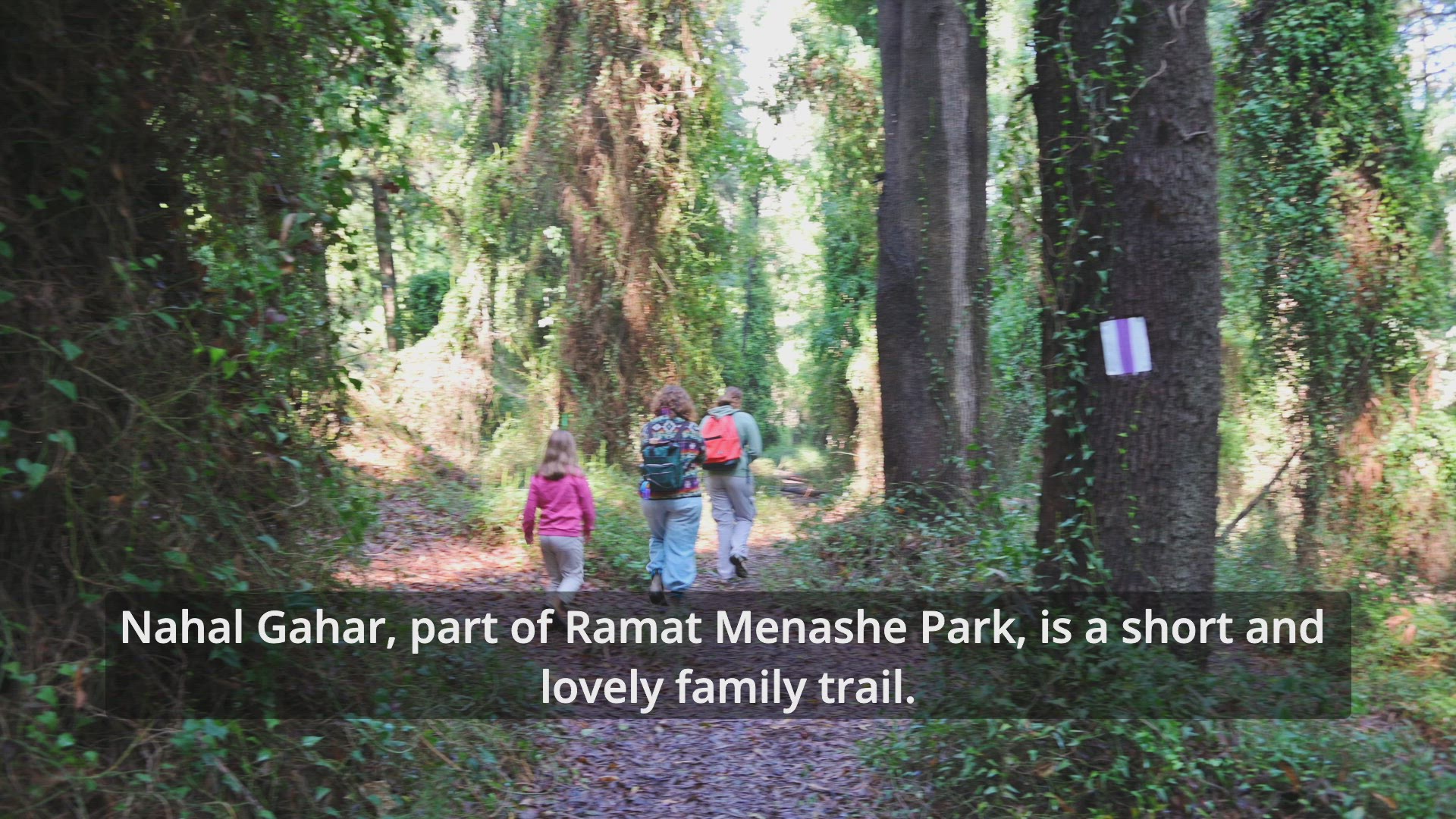 Video thumbnail for Nahal Gahar