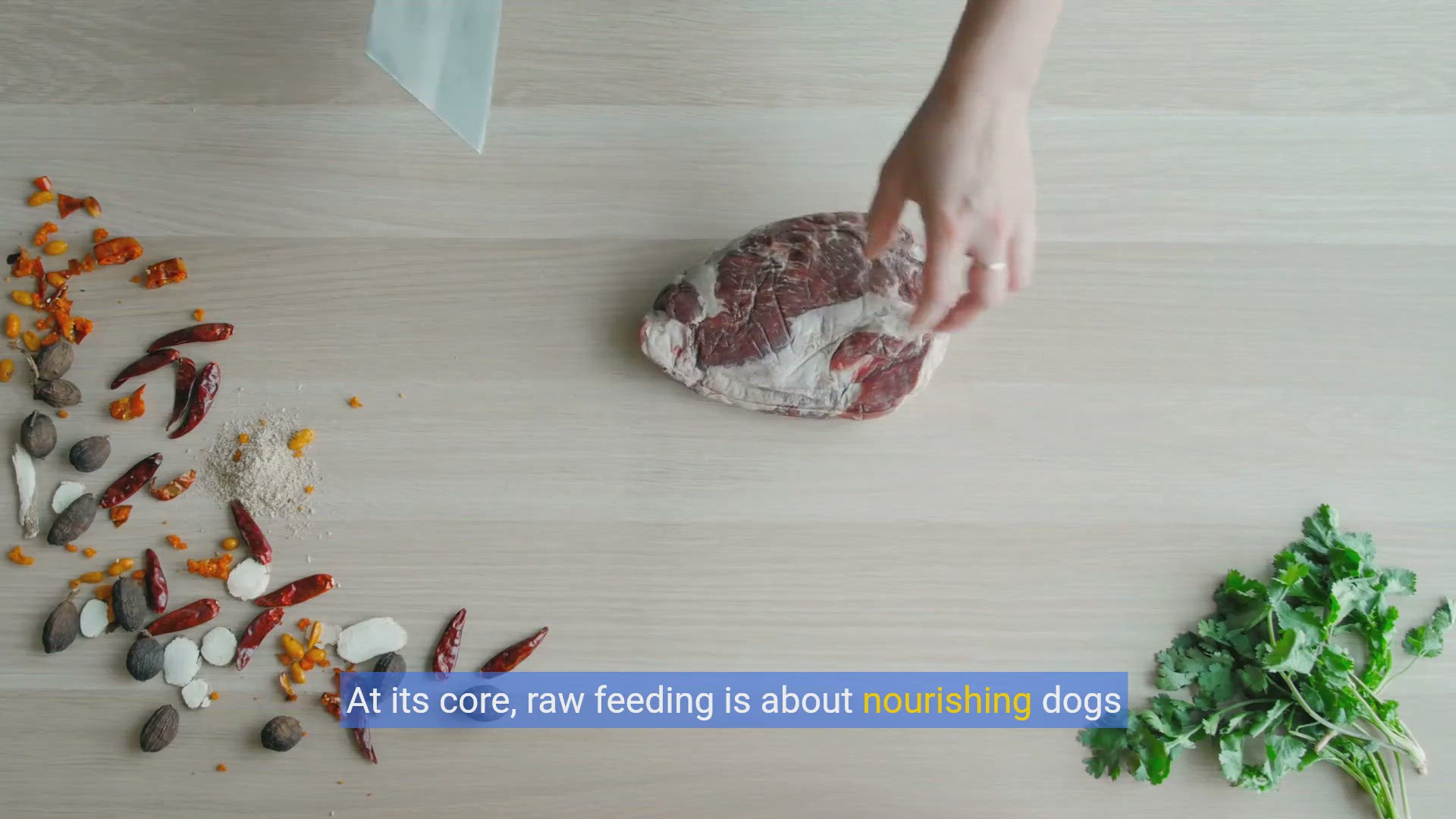 'Video thumbnail for Unlocking the Benefits: A Guide to Raw Feeding for Dogs'