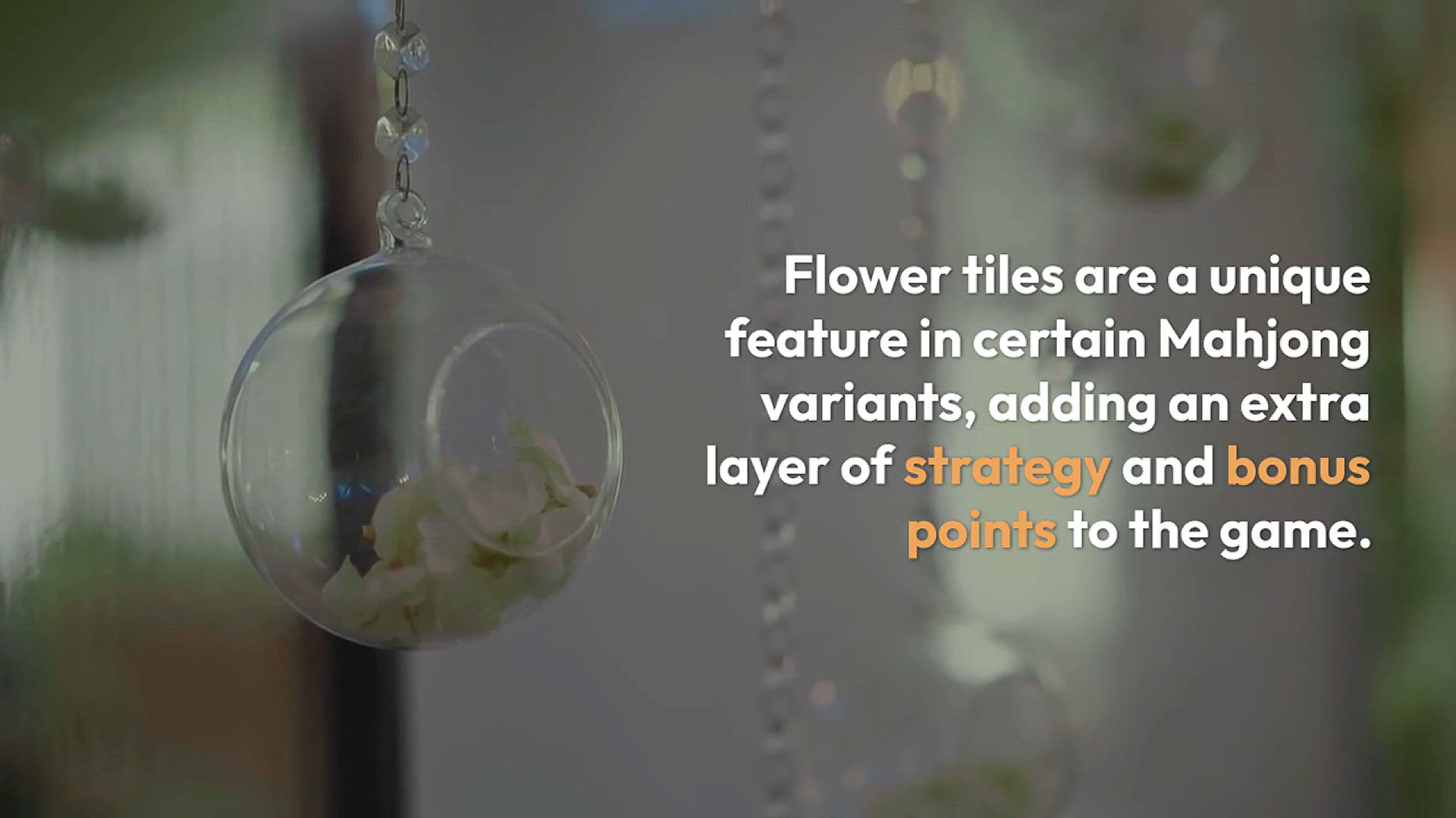 Video thumbnail for Exploring_Mahjong_Flower_Tiles