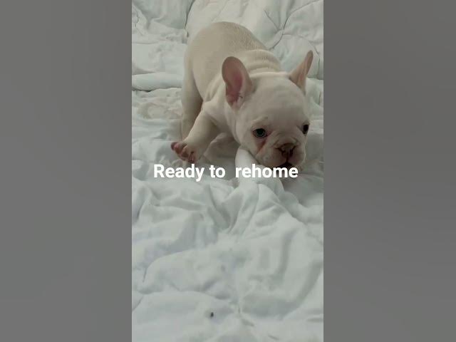 Video thumbnail for 😝😝##😝😝 am so happy today  cause I gat everything I  need 😝