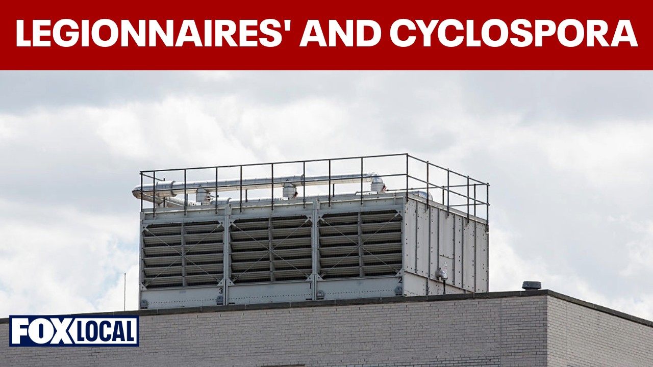 Video thumbnail for Doctor explains rising New York Legionnaires' disease and cyclospora outbreaks