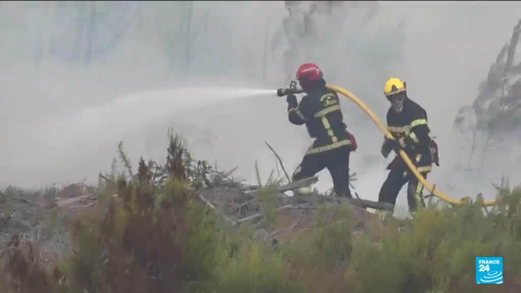 Video thumbnail for France wildfire: Local economy faces huge rebuilding and reforestation bill