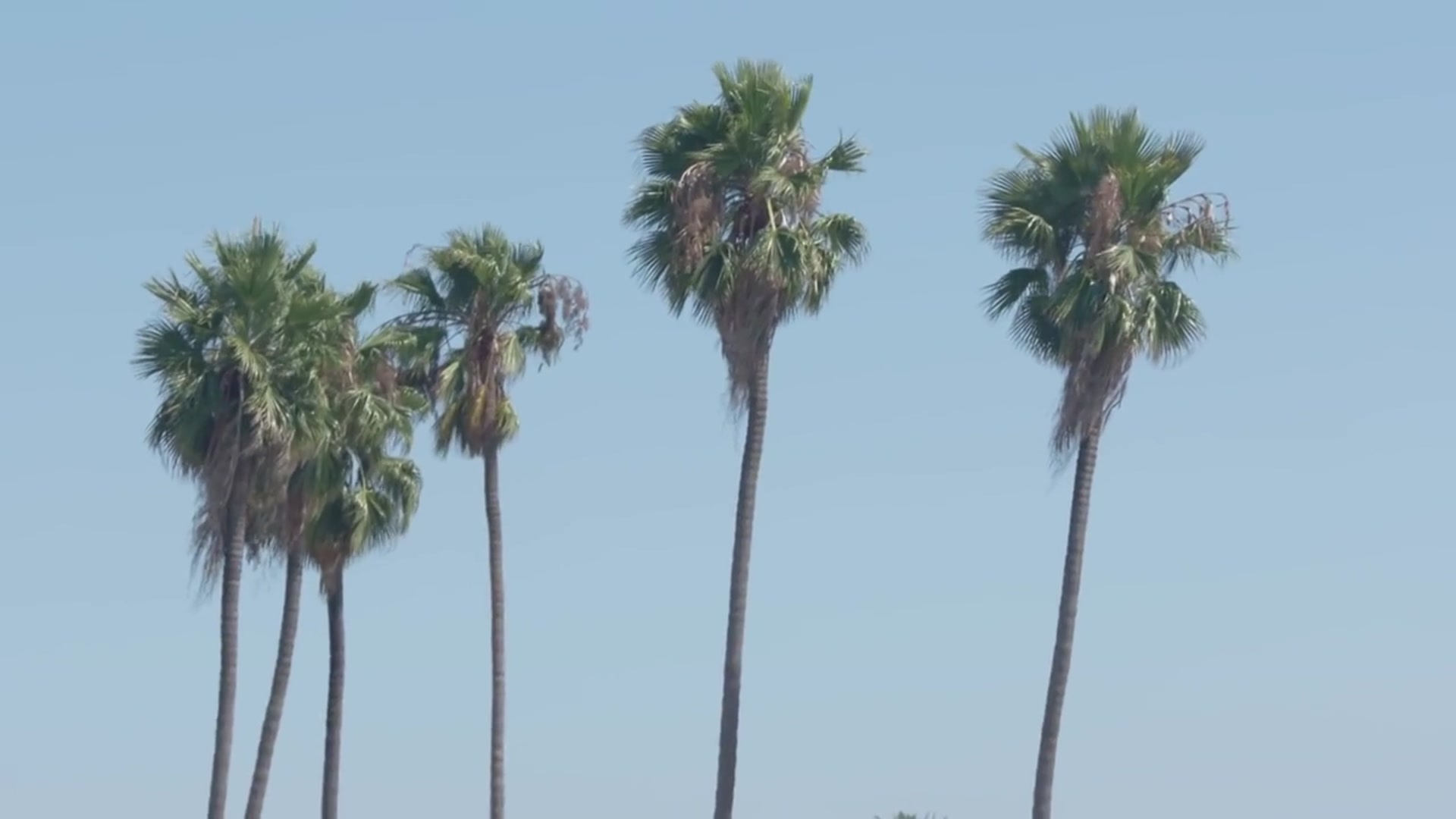 'Video thumbnail for Meet The Illustrator Behind These INCREDIBLE Sports Designs'