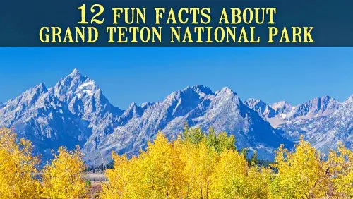 'Video thumbnail for 12 Fun Facts about Grand Teton National Park'