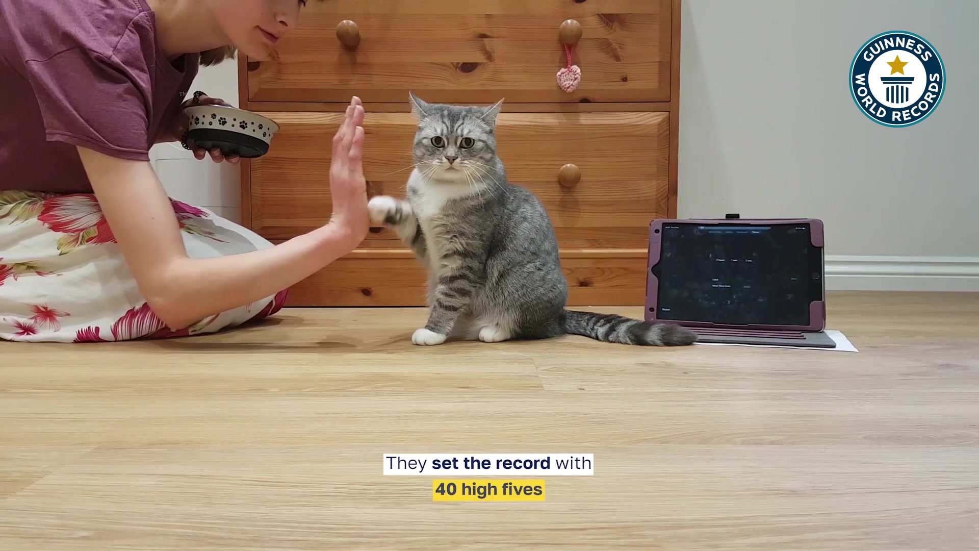 Video thumbnail for Misty Pearl and Emily Lakin Most High Fives Performed by a Cat in One Minute