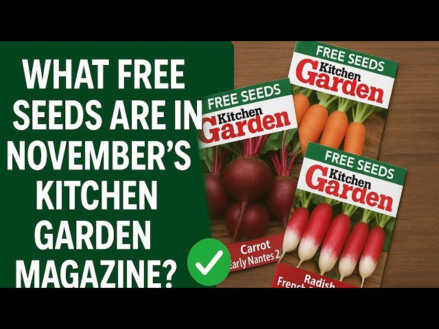 Video thumbnail for 🎥 ✅ 🌱 What Free Seeds Are in November’s Kitchen Garden Magazine? 🌿 | Gardening with Ben