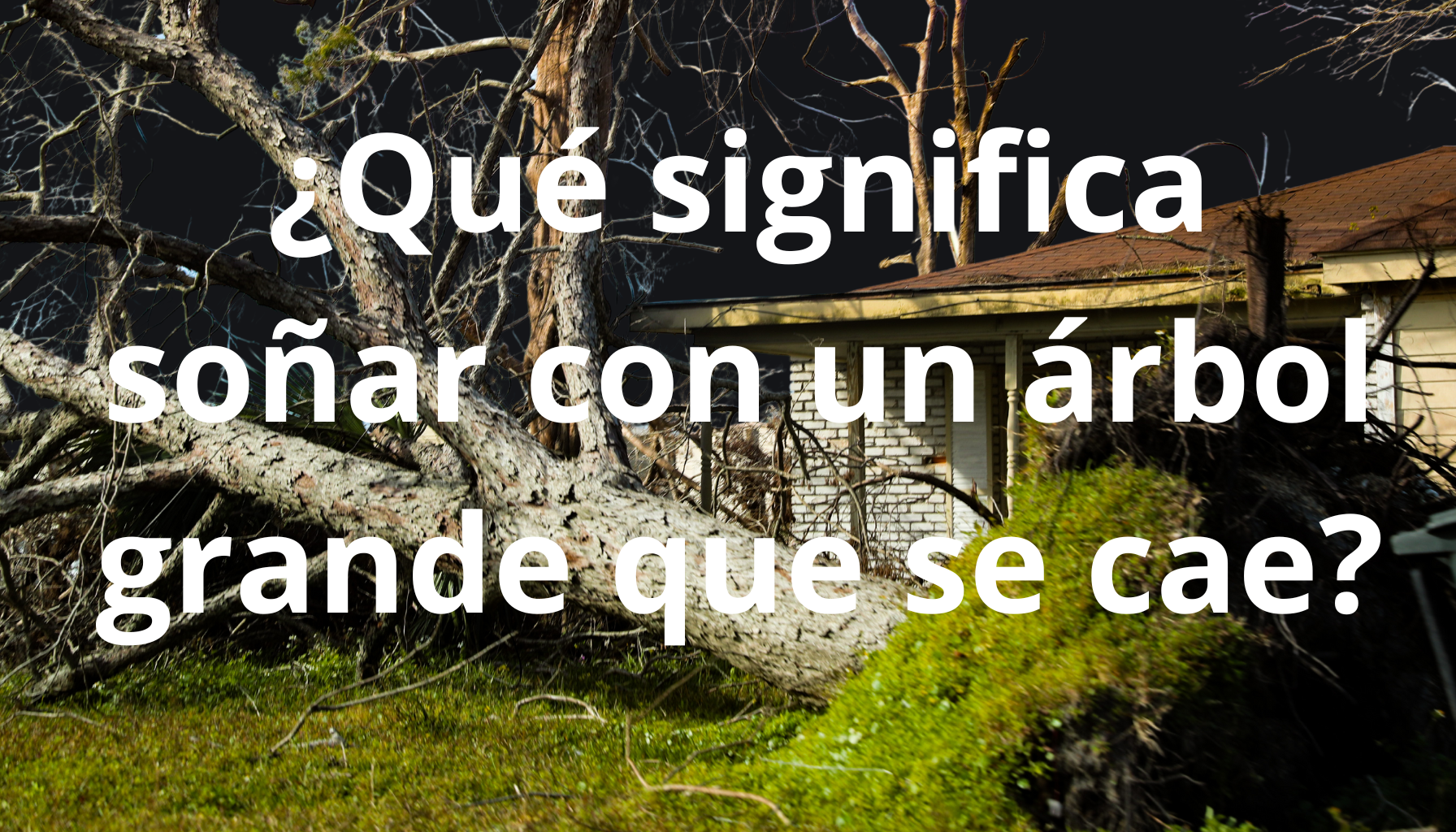'Video thumbnail for El Significado de Soñar con un Árbol Grande que Se Cae: Descubre los Mensajes Ocultos'
