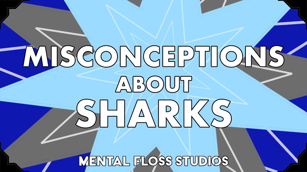 Video thumbnail for Misconceptions About Sharks | Mental Floss