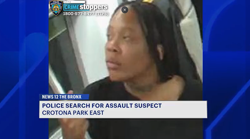 Video thumbnail for Woman assaulted while riding 2 train in Crotona Park East