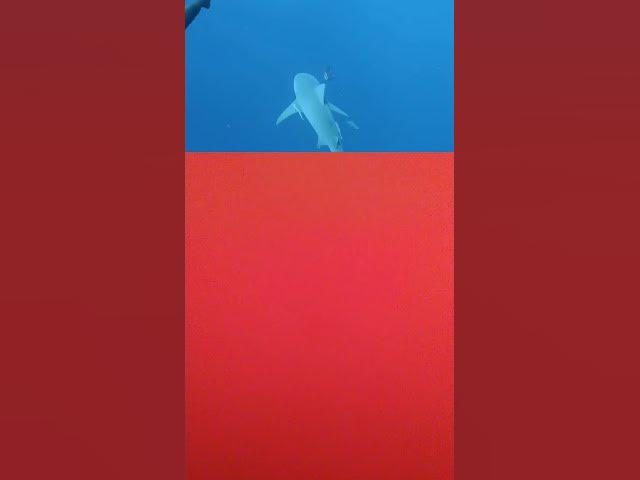 Video thumbnail for 27 February 2024