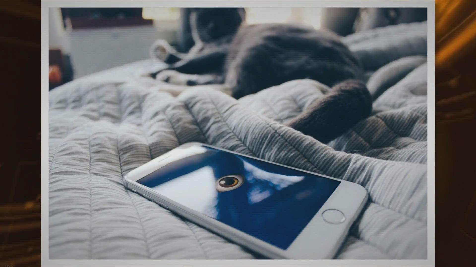 Video thumbnail for Unlocking the Power of VPN: How to Use it Without Installing Software