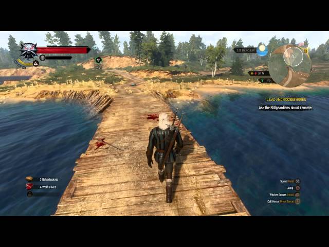 Video thumbnail for The Witcher 3: Wild Hunt - Tamerian Lily Key, Insignia, Orders, Tamerian Valuables Quest Unlocked