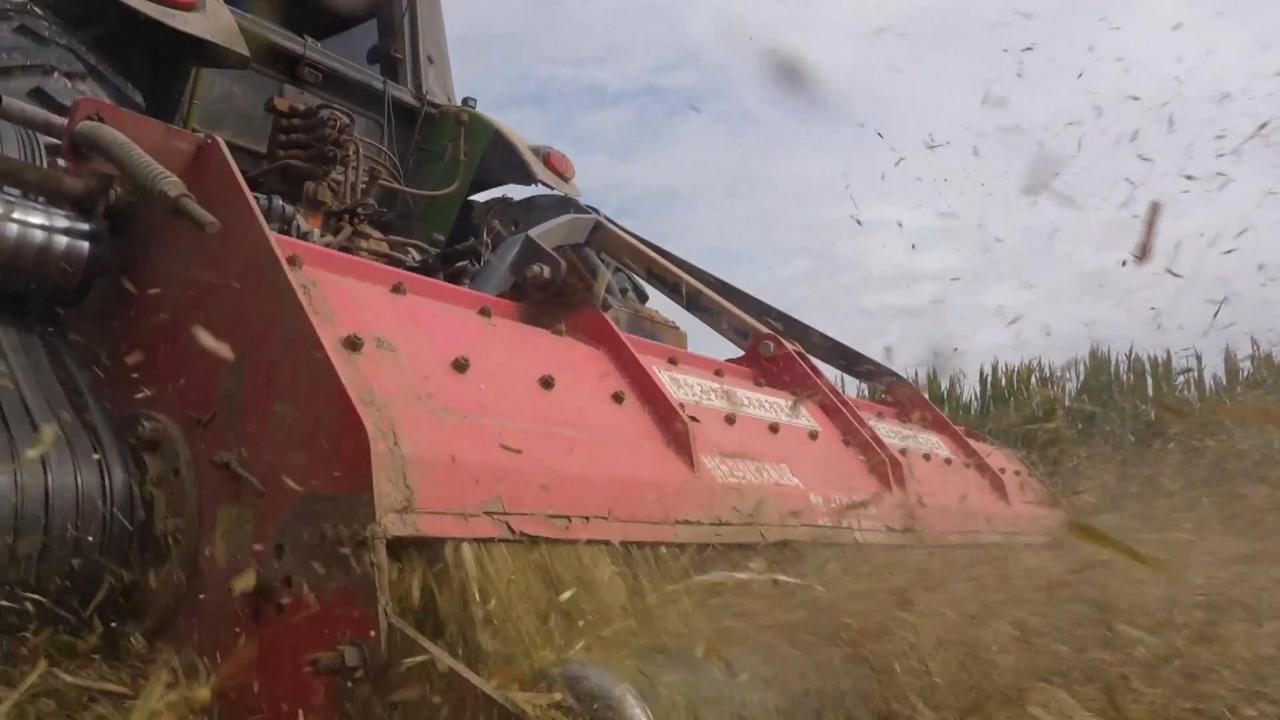 Video thumbnail for China: China's autumn harvest passes halfway mark as autumn, winter sowing kicks off.