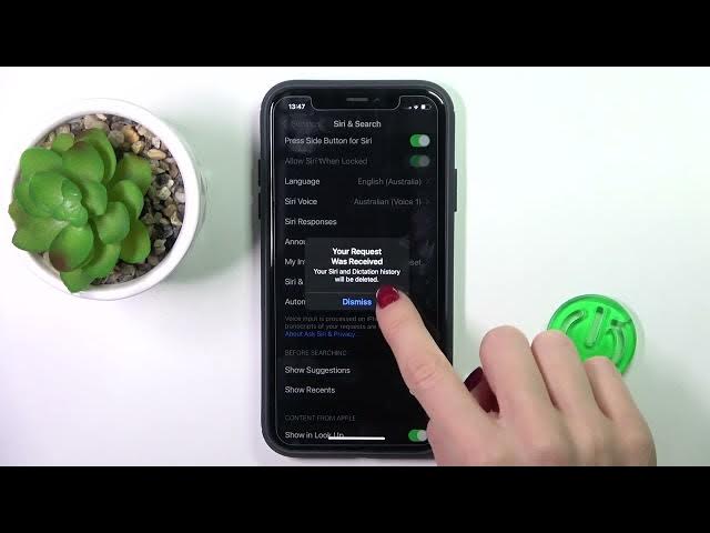 Video thumbnail for How to Delete Siri and Dictation History - Remove Siri Data on iOS 16