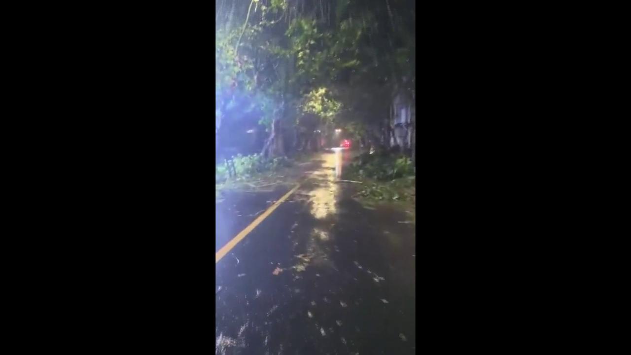 Video thumbnail for Typhoon Dolphin: Debris On Streets Of Yuhuan.
