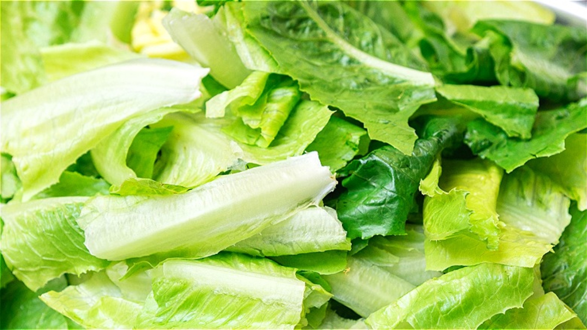 Video thumbnail for Don't Cut Any More Romaine Lettuce Until You Watch This