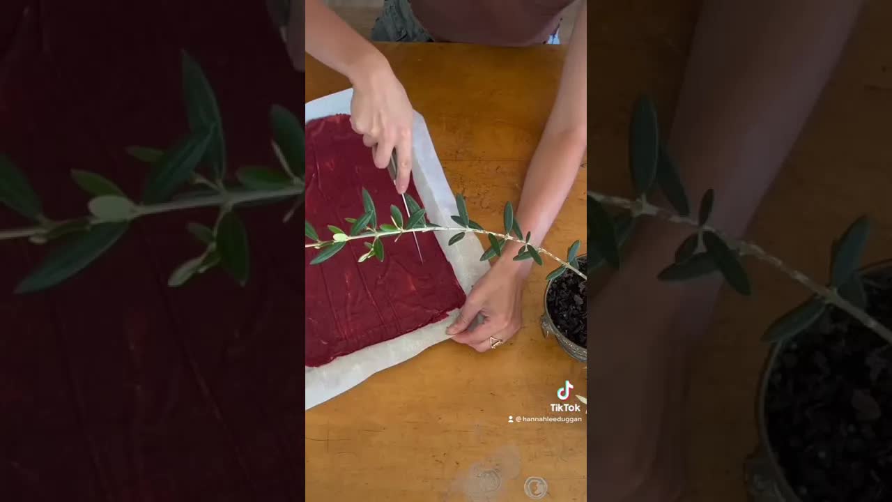 Video thumbnail for making fruit roll ups Pt 2