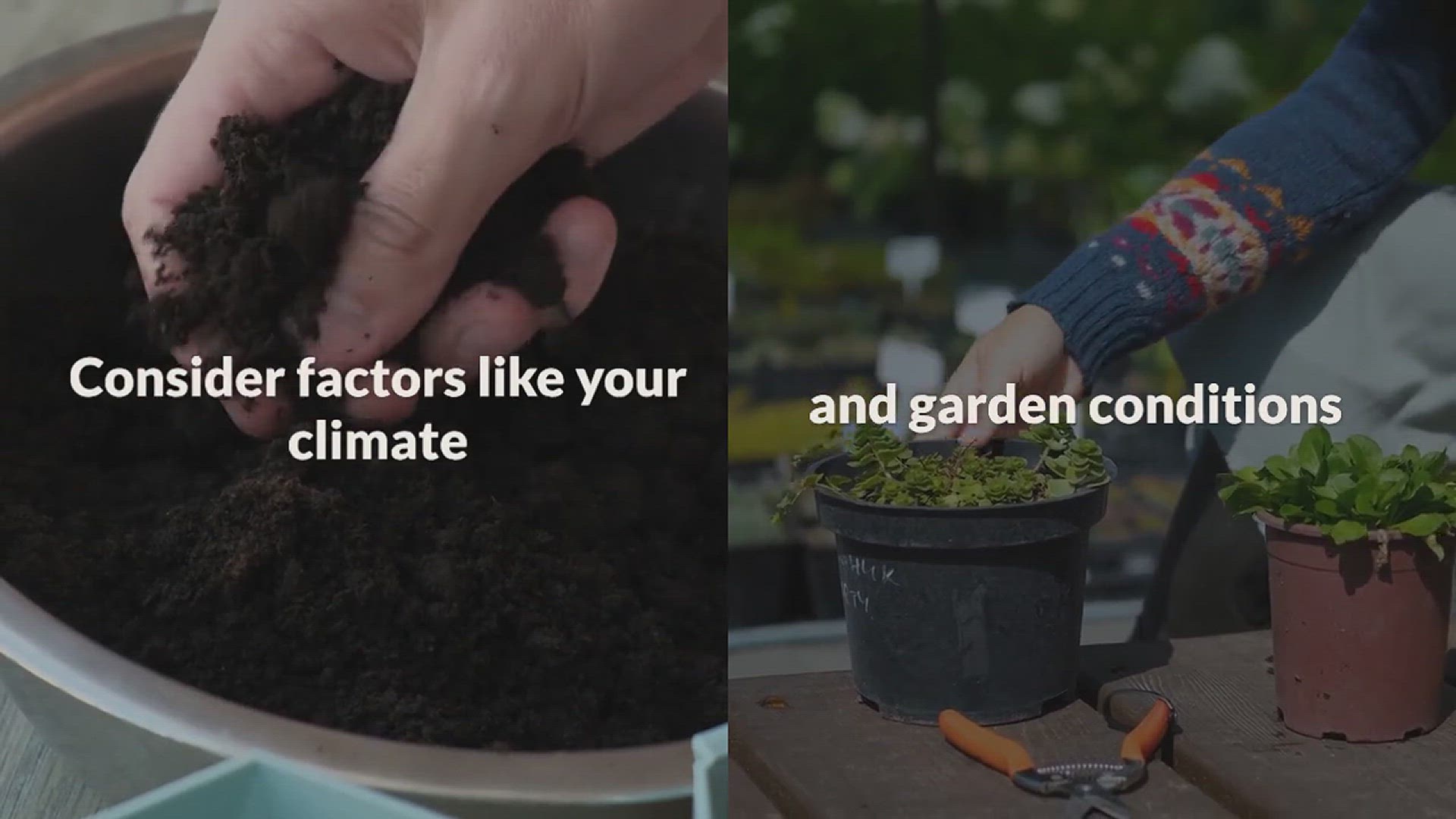 'Video thumbnail for Tips for Growing Mushrooms in the Garden'