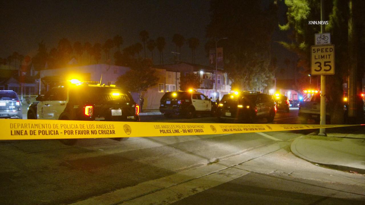 Video thumbnail for US, Los Angeles: Hyde Park Double Shooting.
