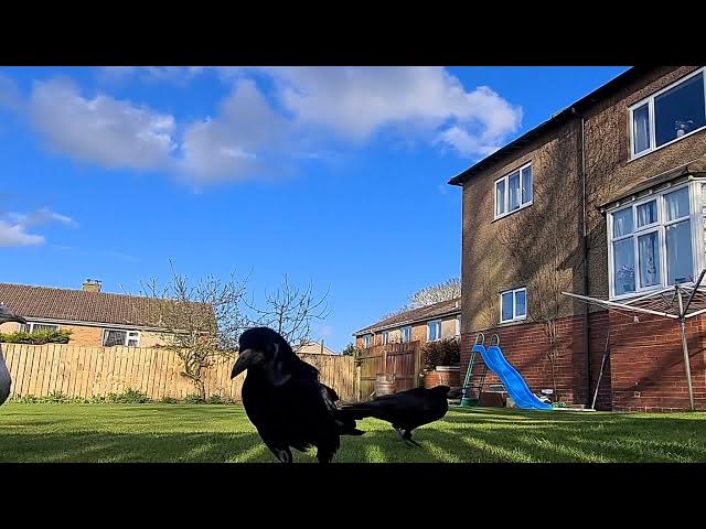 Video thumbnail for wait for it