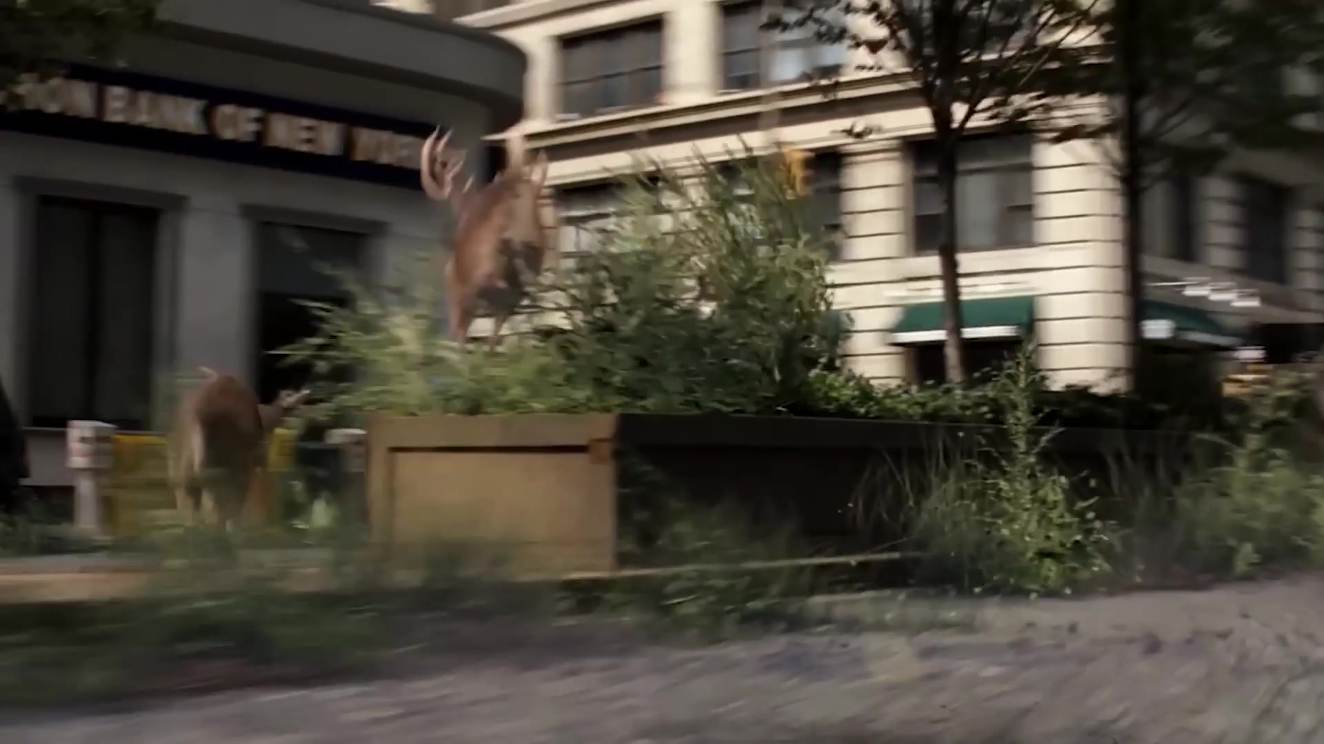 Video thumbnail for What I Am Legend Looks Like Without Special Effects