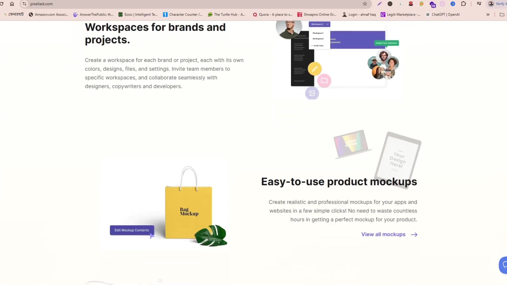 'Video thumbnail for Pixelied Review: The Best Canva Alternative?'