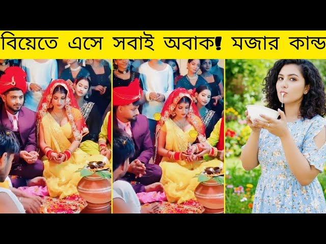 Video thumbnail for এরা এত অশ্লীল কেন | funny fact |osthir Bangali | funny tik tok | jk info